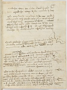 Codice sul volo degli uccelli, c. 1505-06, manoscritto su carta, cc. 18, foglio 10 recto
